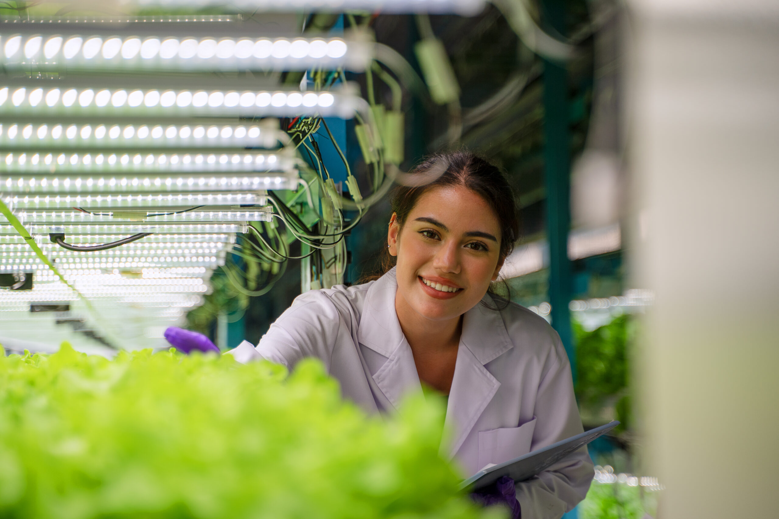 Psychrometrics in Vertical Farming